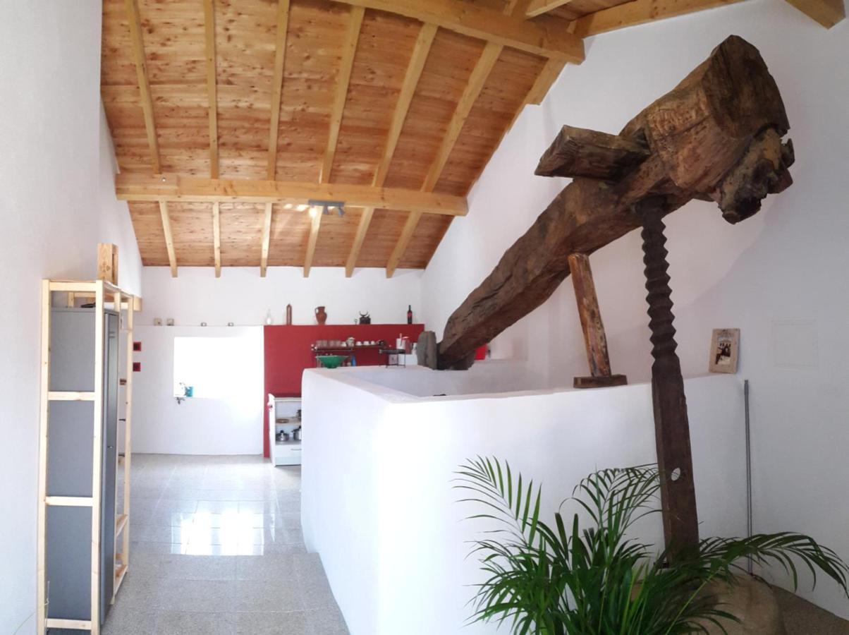 Quinta Quatro Ventos Bed & Breakfast Sertã Exterior foto